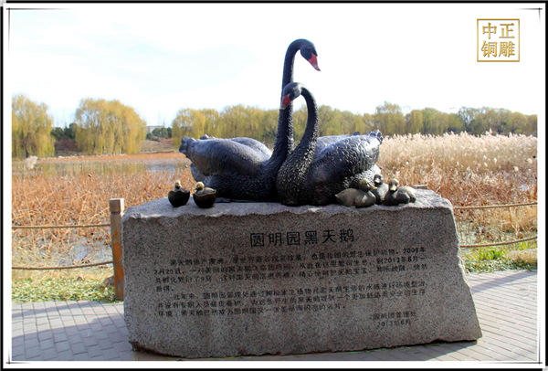 圓明園黑天鵝雕塑.jpg 圓明園黑天鵝雕塑.jpg