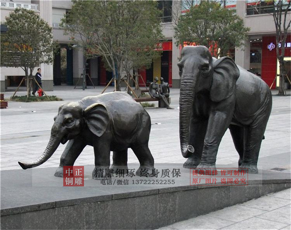 母子象圖片.jpg 母子象圖片.jpg