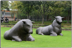 老黃牛銅雕塑 老黃牛銅雕塑