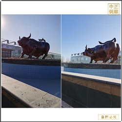 定做公司銅牛圖片 定做公司銅牛圖片